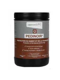 Goudron De Norvège Pedinoir Lpc