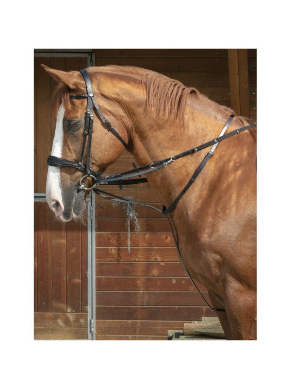 Enrênement Thiedeman Norton Pro