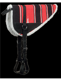 Tapis De Monte A Cru India