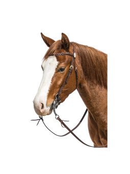 Bridon Western Tressé Avec Rênes