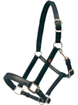 Licol Cuir Triple Réglage