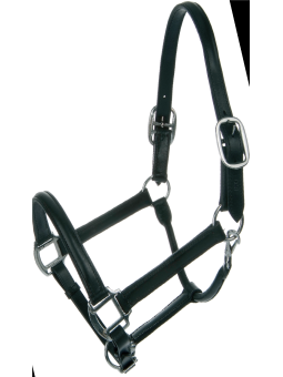 Licol Cuir Grand Cheval