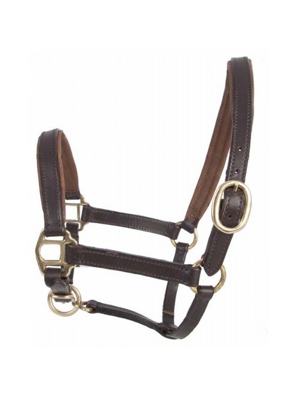 Licol Cuir Foal Ou Mini