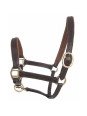 Licol Cuir Foal Ou Mini