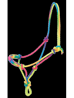 Licol Ethologique Rainbow