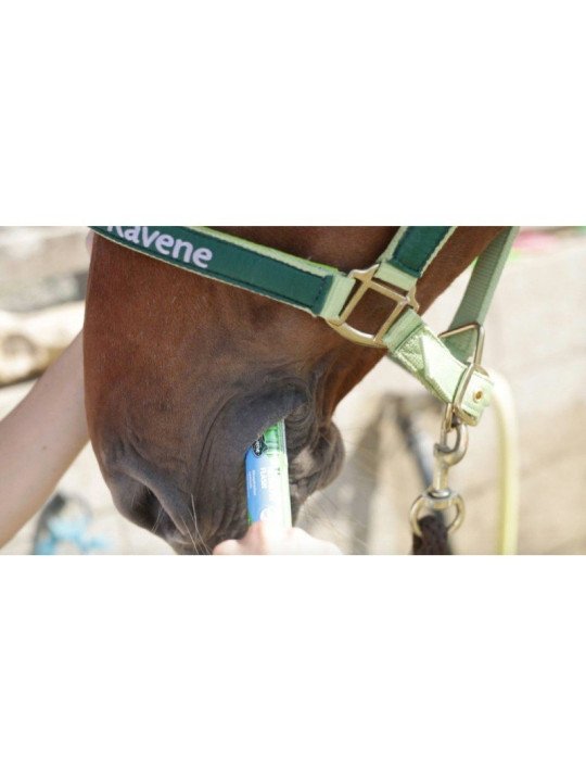 Nutrilyte Flash Ravene