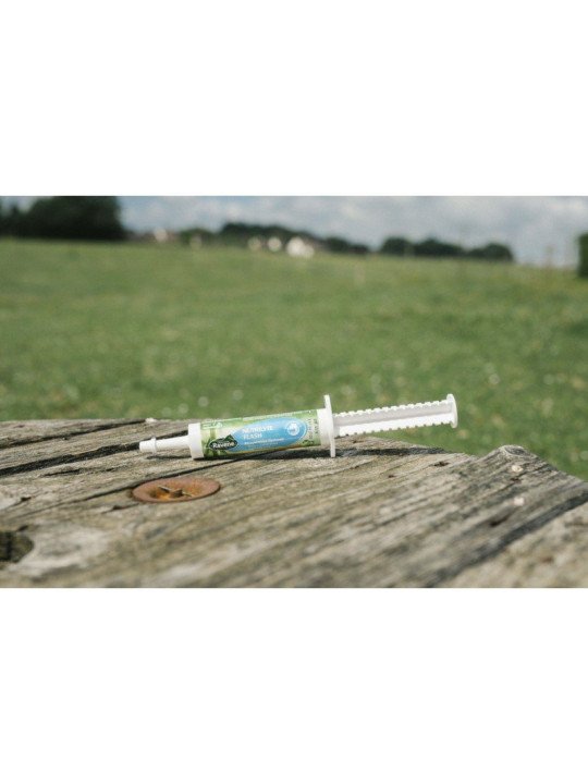 Nutrilyte Flash Ravene