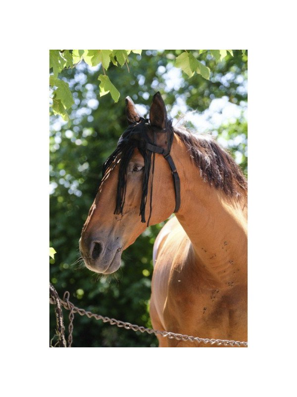 Bonnet Mesh Equithème Chasse Mouches