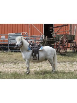 Promo Selle Western Shet Poney Topeka