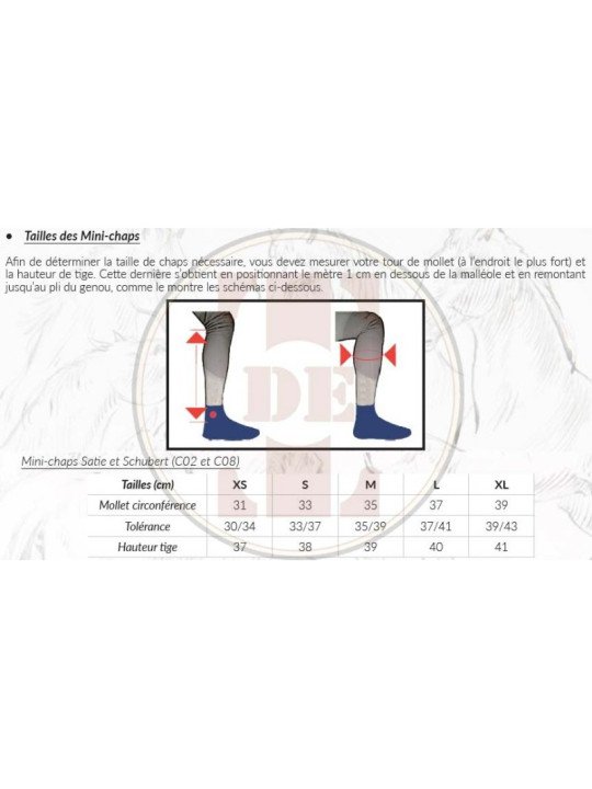 Promo Mini Chaps Schubert T de T