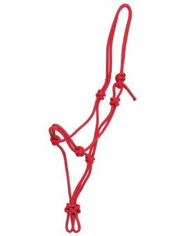 Licol Ethologique Cheval De Trait