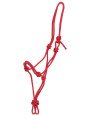 Licol Ethologique Cheval De Trait
