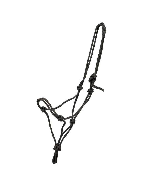Licol Ethologique Cheval De Trait