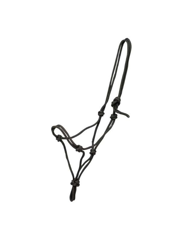 Licol Ethologique Cheval De Trait