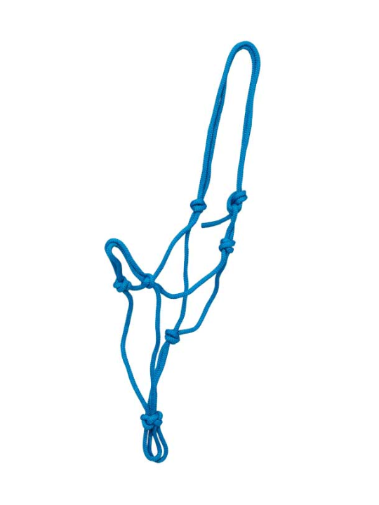 Licol Ethologique Cheval De Trait