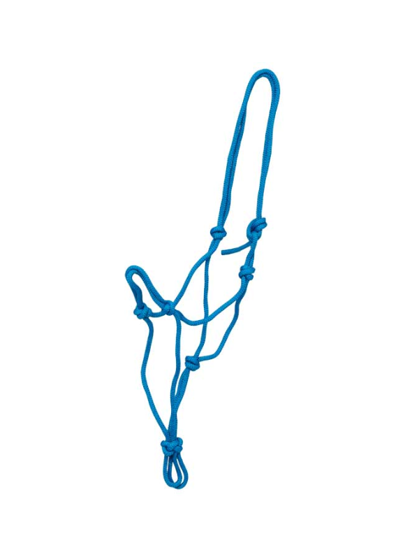 Licol Ethologique Cheval De Trait