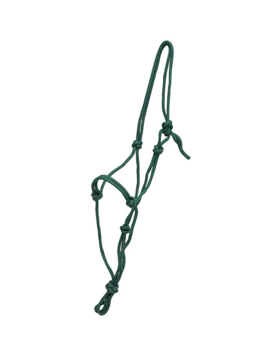 Licol Ethologique Cheval De Trait