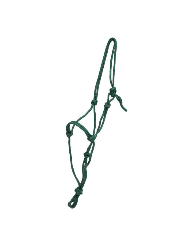 Licol Ethologique Cheval De Trait
