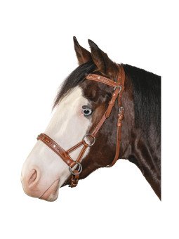 Bridon Side Pull Indiana