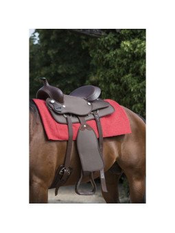 Tapis Randols Navajo Uni Westride