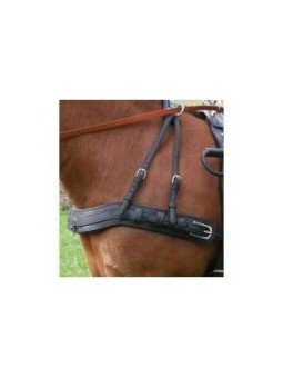 Bricole Anatomique En Simple