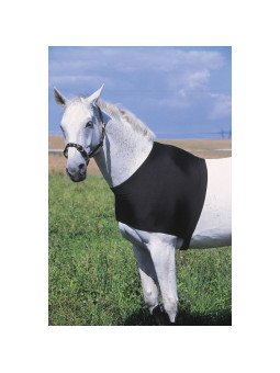 Protection D'Epaules Equithème