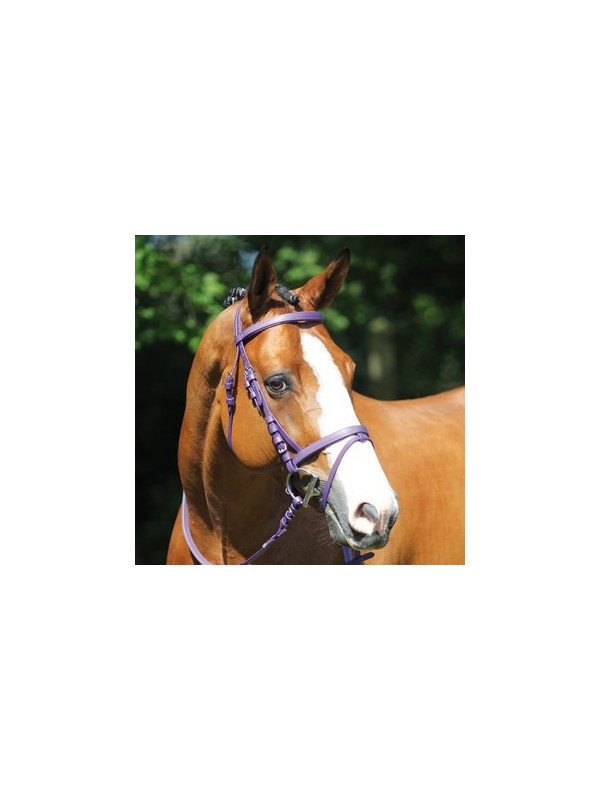 Promo Bridon Synth2tique Poney