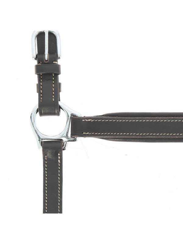 Licol Cuir Norton Pro Grooming