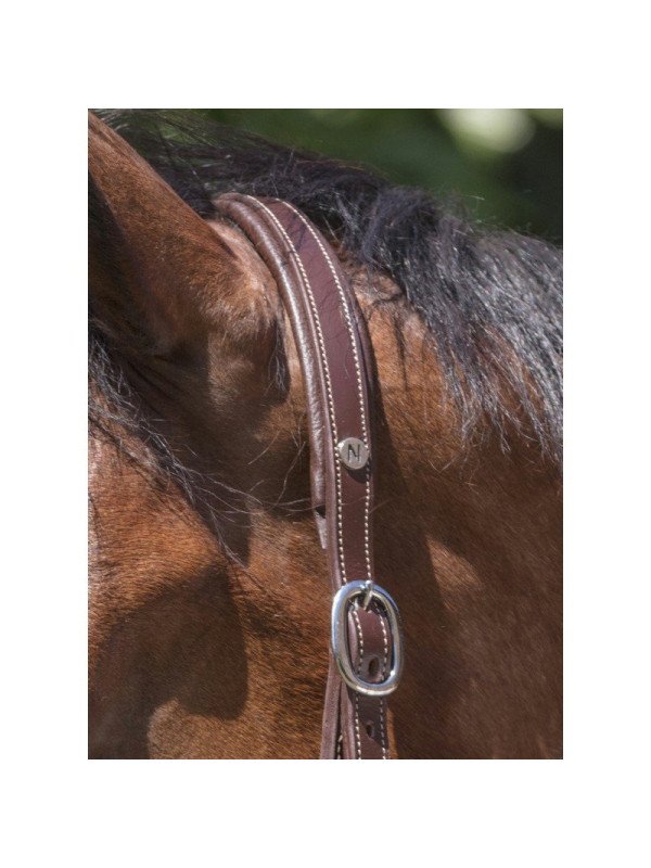 Licol Cuir Norton Pro Grooming