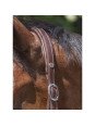 Licol Cuir Norton Pro Grooming Licol Cuir Norton Pro Grooming