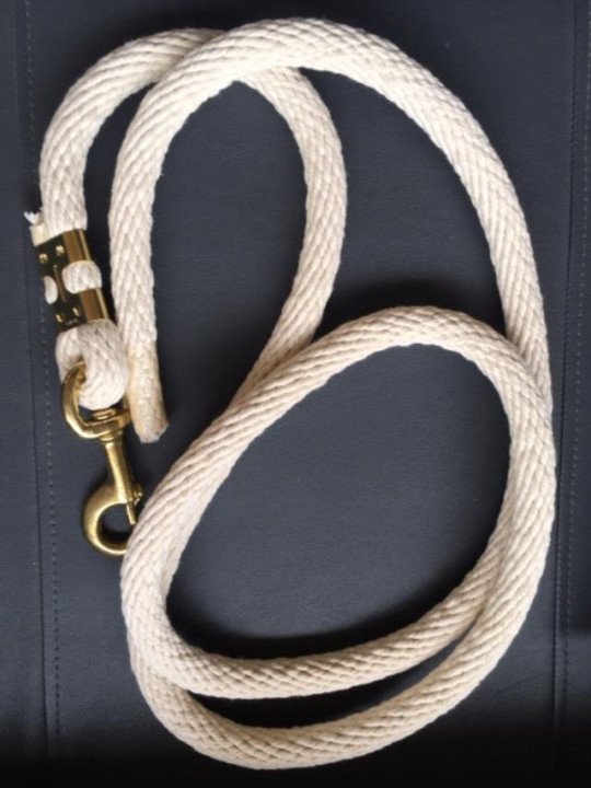 Longe D'Attache Mammouth Blanche XXL