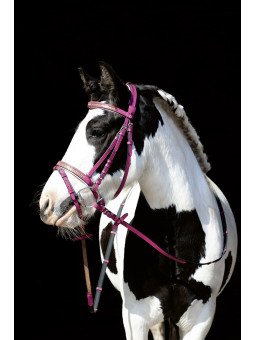 Bridon Cuir Rose Santa Fe Shet Poney