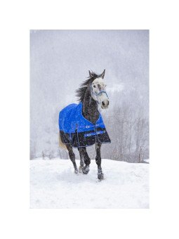 Couverture Equitheme Tyrex 1200D Aisance High Neck  50 g 150 g 300 g