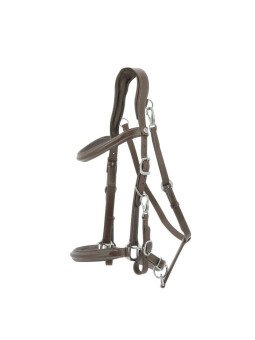 Bridon Licol Norton Trekking