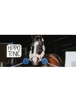 Balle De Protection D'Attache Hippotonic