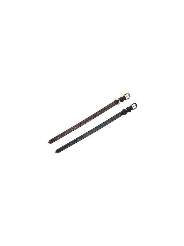 Promo Collier Riding World  Pour Chien 45 cm