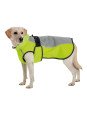 Couverture Imperméable Fluo 70 cm Pour Chien