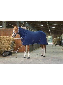 Chemise Polaire Riding World Combo