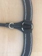 Collier De Chasse Western Spot