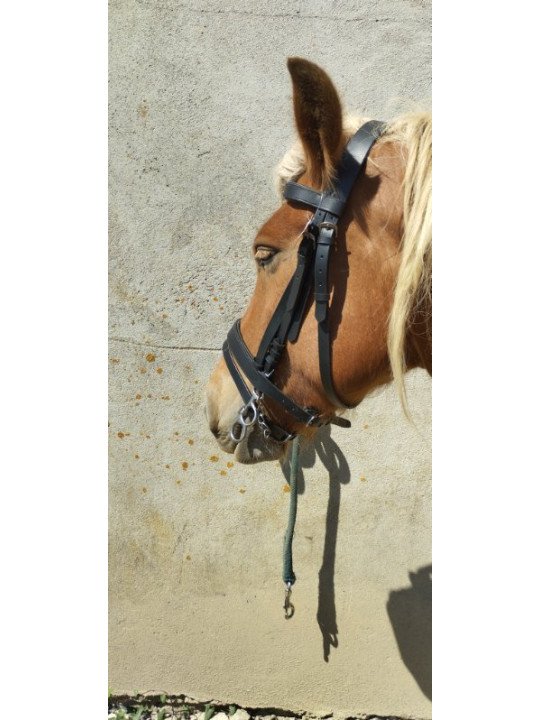 Bridon Cheval De Trait Strong