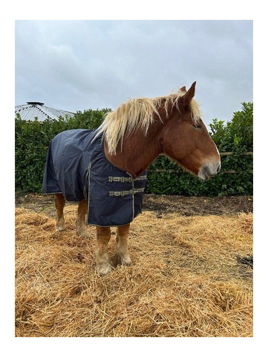 Chemise Imper Cheval De Trait Poitrail Large 0 G