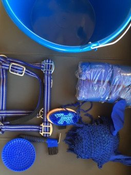 Seau Cadeau Blue Pony