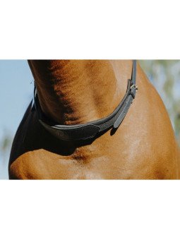 Collier D'Encolure Norton