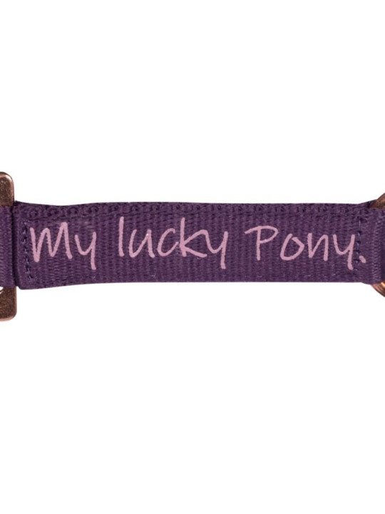 Licol Lucky Pony