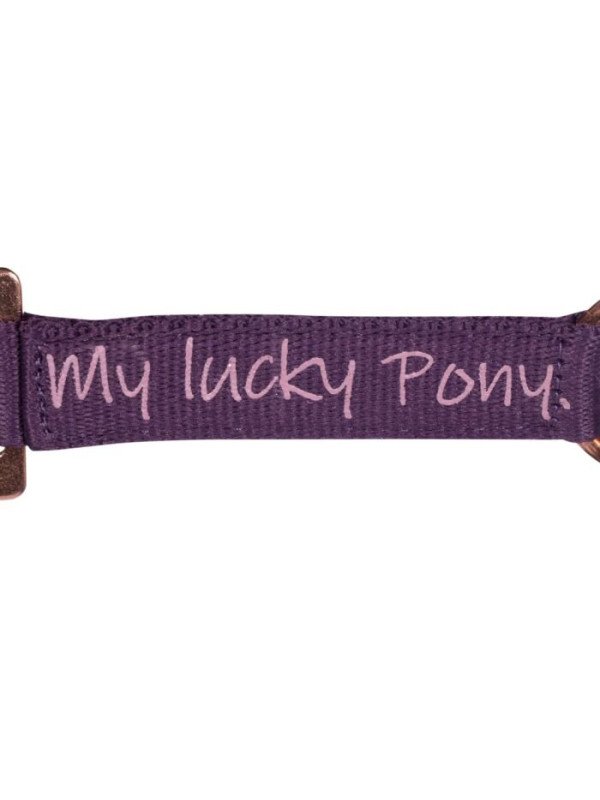 Licol Lucky Pony