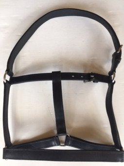 Licol Cuir Mammouth Trait XXL