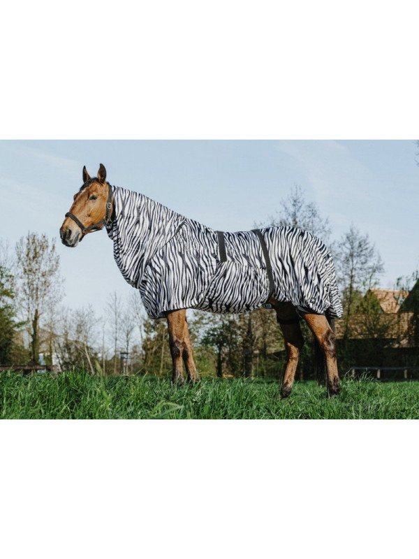 Chemise Anti Eczéma Zèbre Riding World 95 - 165 cm