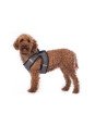 Promo Harnais Petit Chien Buddy Soft S