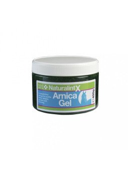 Gel arnica NAF NaturalintX