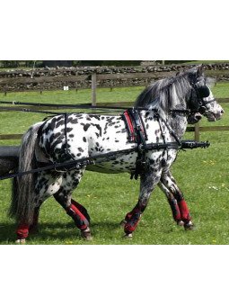 Harnais Zilco SL Mini Shet Shetland Poney En Paire